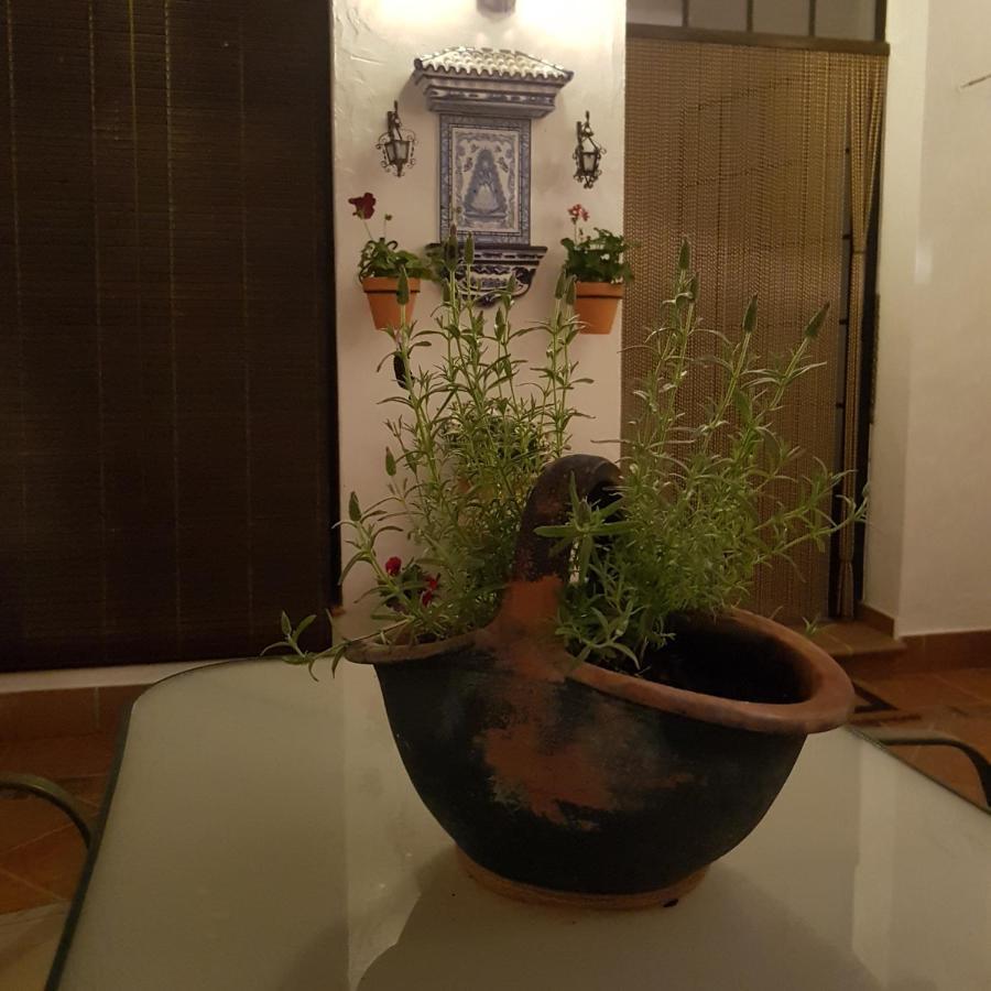 Casa Los Tres Aires إل روثيو المظهر الخارجي الصورة